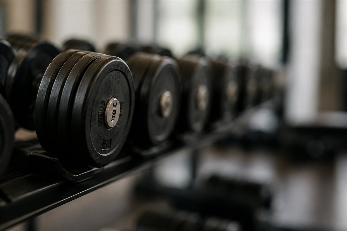 Kurzhanteln – Krafttraining für Frauen